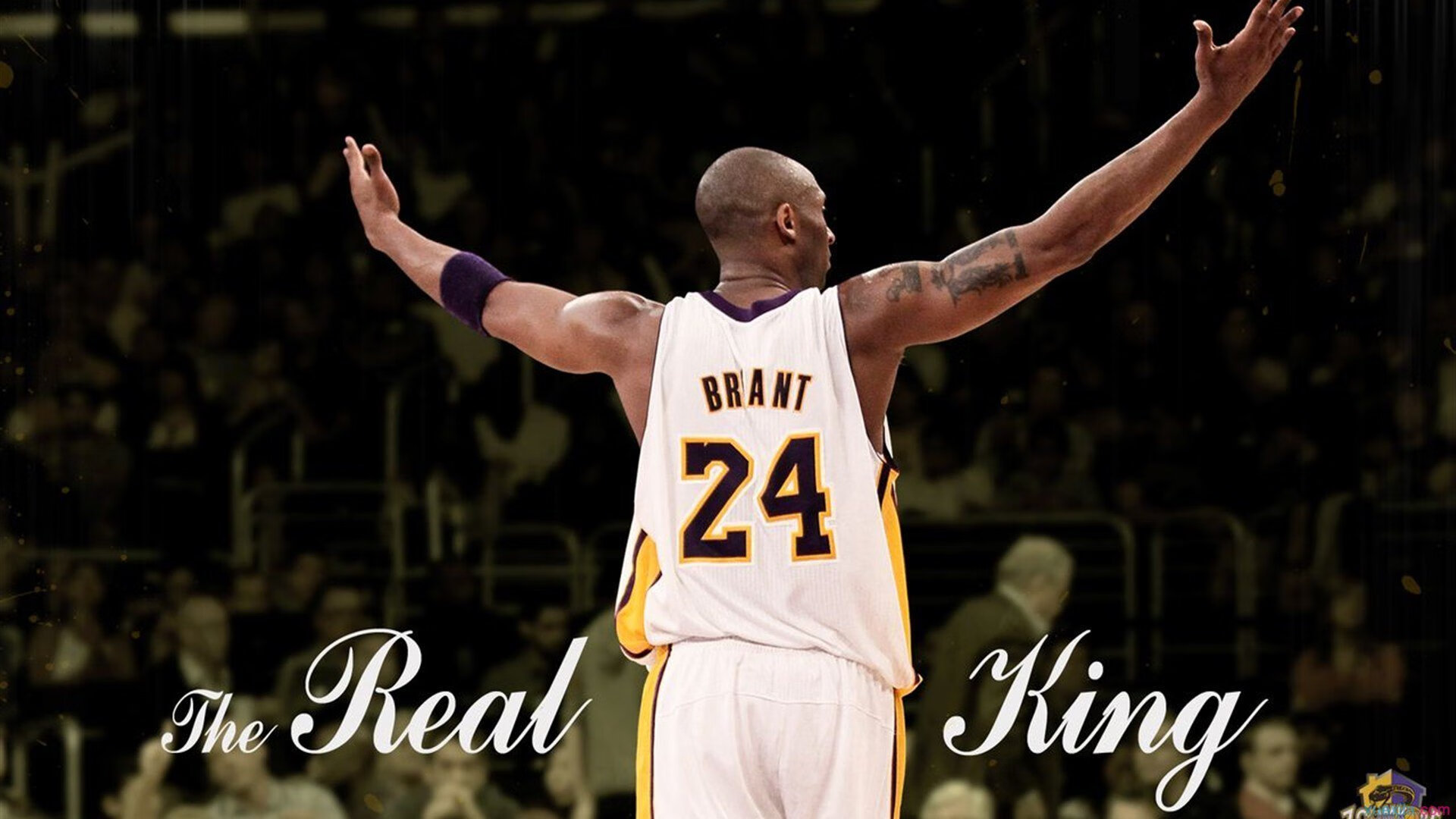 九游娱乐官网 (jiuyou)-《守望先锋》联赛与《风暴英雄》世界锦标赛的团队协作对比，风暴英雄守望先锋联动